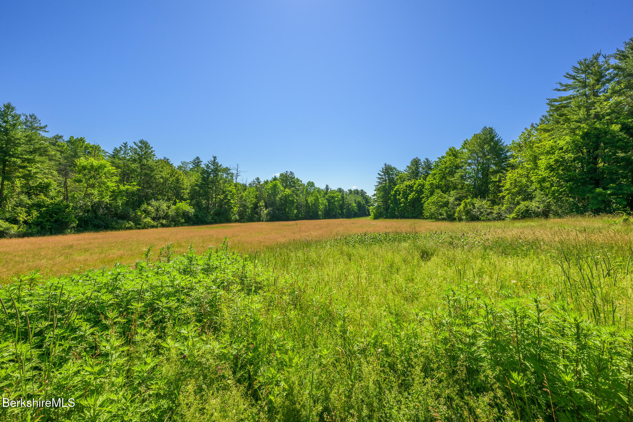 36 Yale Hill Road Stockbridge, MA 01262 - Photo 41 of 45 lovely meadow views