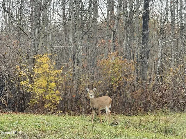 $85,000 | 7715 Highway 20, Cherry Valley, NY 13320