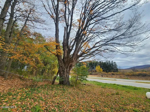 $65,000 | 7715 Highway 20, Cherry Valley, NY 13320