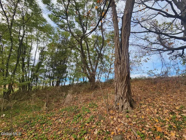 $85,000 | 7715 Highway 20, Cherry Valley, NY 13320