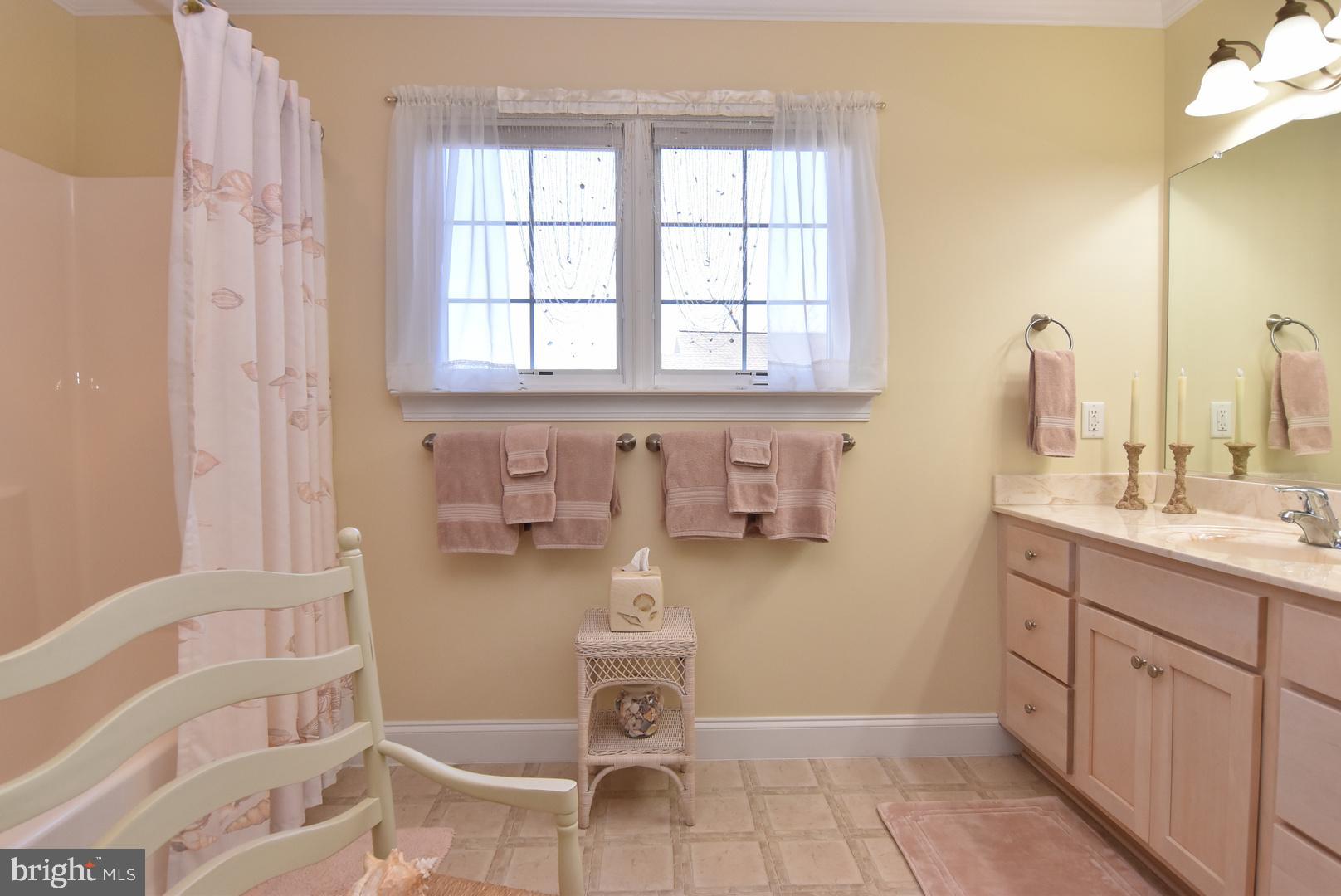 204 Turtle Cove, Unit 115 Laurel, DE 19956 - Photo 31 of 47 a bathroom with a granite countertop sink and a mirror