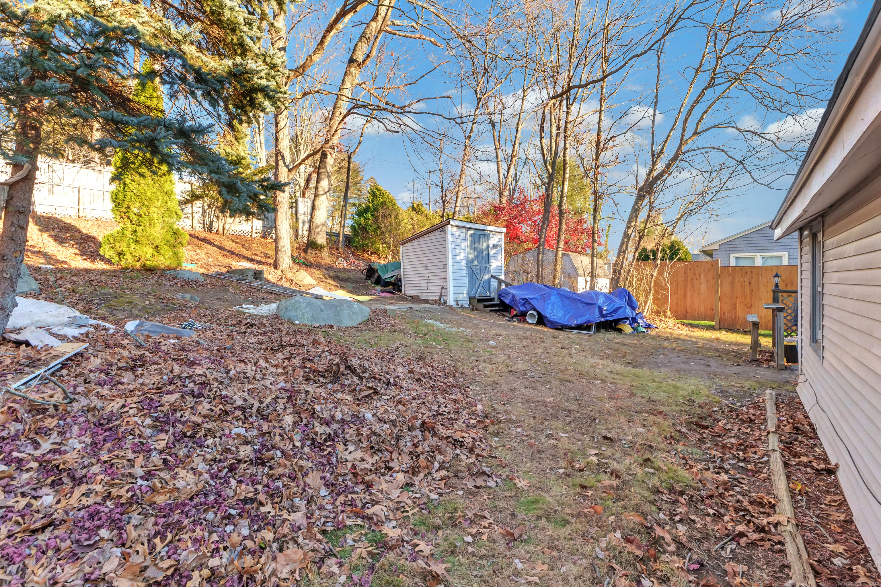 12 Hale Road East Hampton, CT 06424 - Photo 10 of 27 a backyard of a house with large trees and a large tree