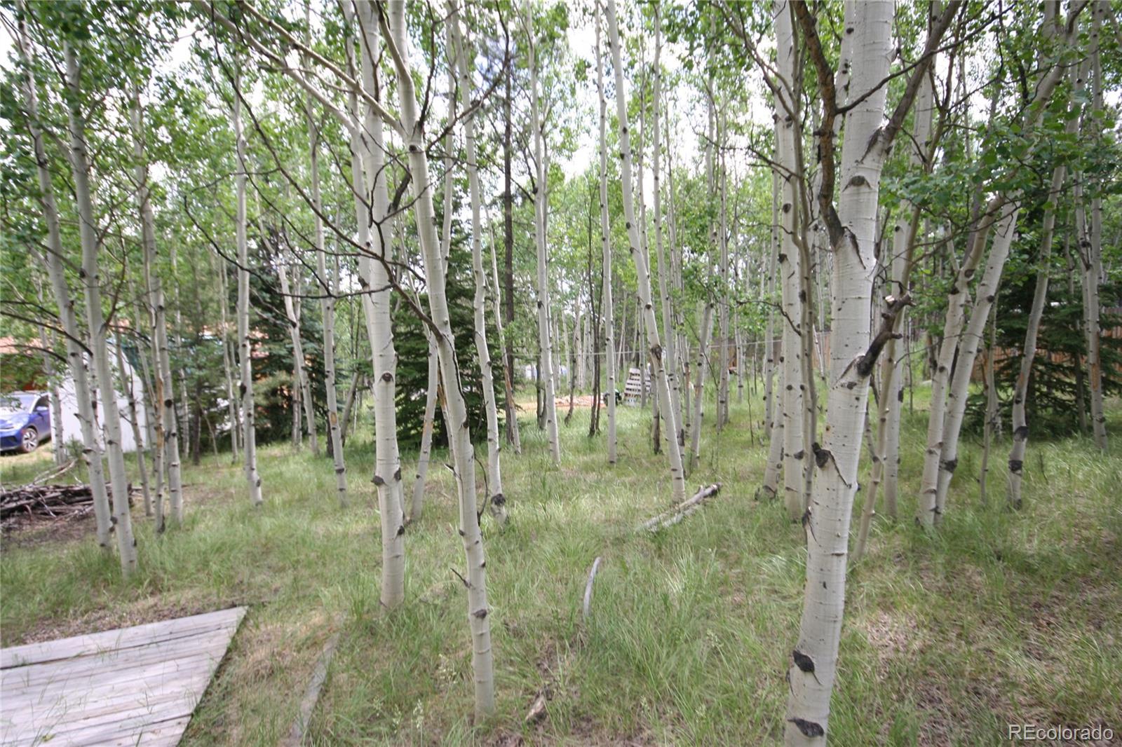 300 Bartimous Road Bailey, CO 80421 - Photo 8 of 24 Gallery Image 8