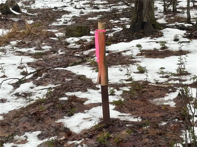 a street sign on the side of the road