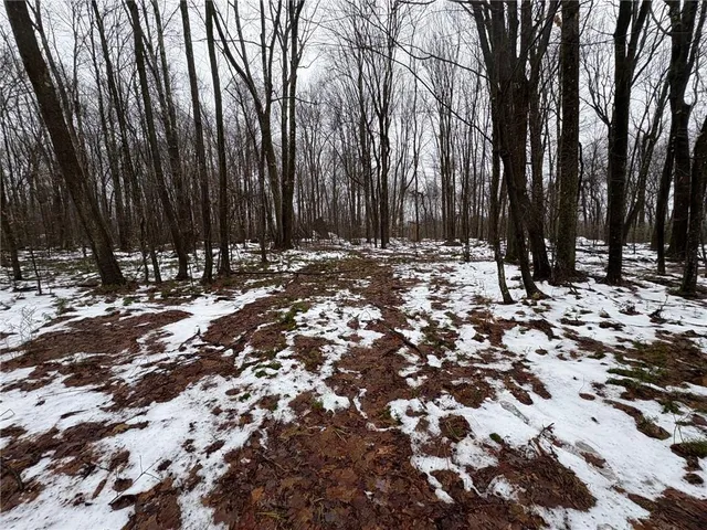a view of outdoor space with trees