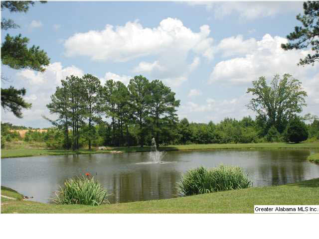 656 Wynlake Cove Alabaster, AL 35007 - Photo 27 of 28