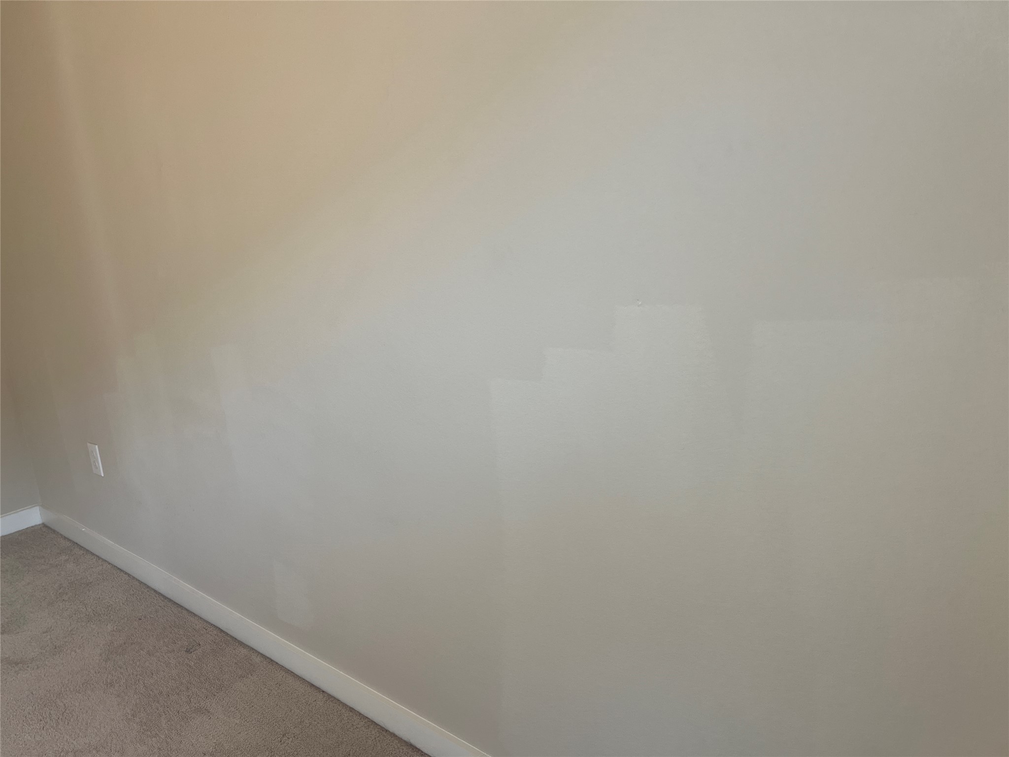7009 Sienna Rouge Path Austin, TX 78744 - Photo 25 of 29 Detailed view of baseboards and carpet flooring
