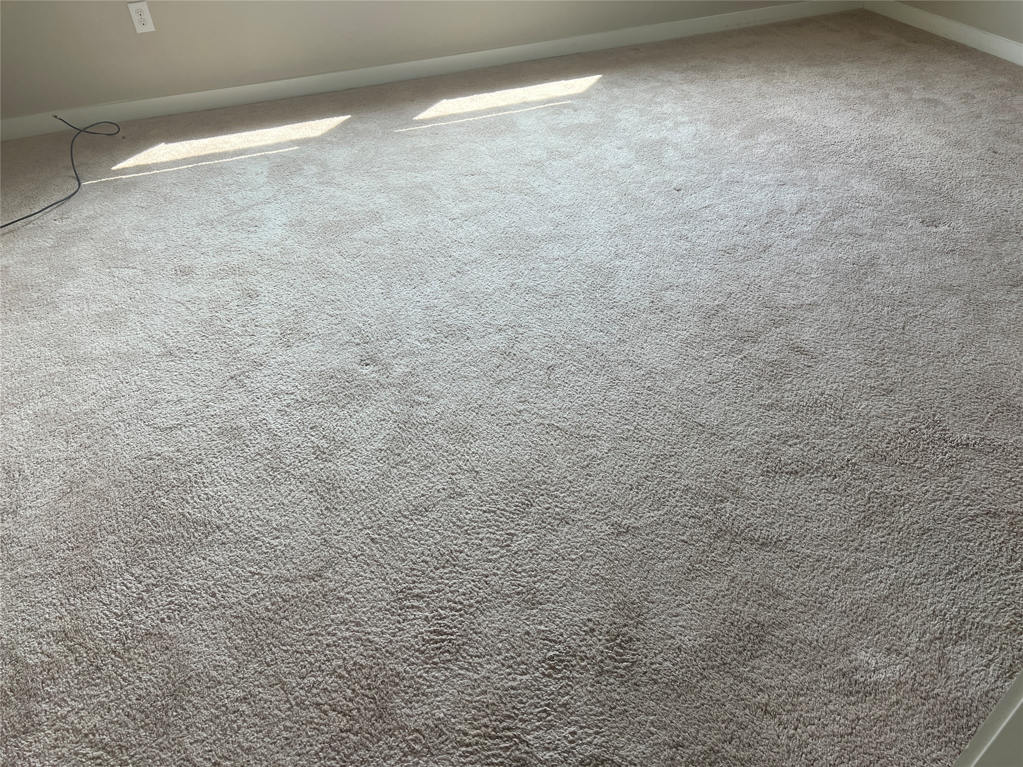 7009 Sienna Rouge Path Austin, TX 78744 - Photo 29 of 29 Detailed view of carpet flooring