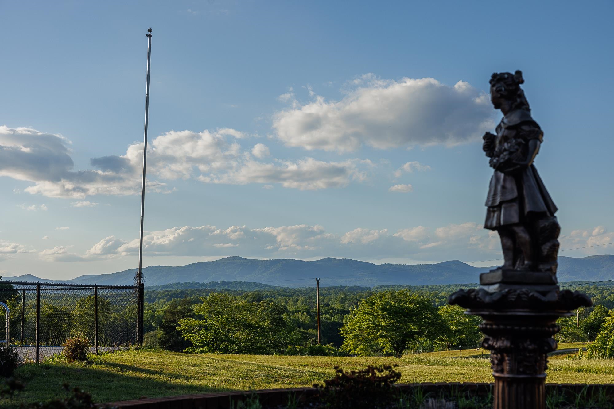 3838 Pennington Road Greer, SC 29651 - Photo 8 of 50