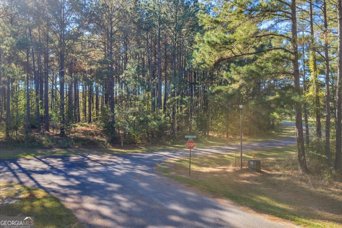 Lot 17 Sweet Magnolia Circle Dublin, GA 31021 - Photo 11 of 23 a view of a yard with a tree