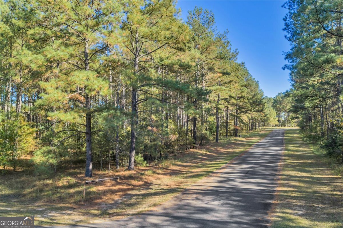 Lot 17 Sweet Magnolia Circle Dublin, GA 31021 - Photo 12 of 23 a view of a yard with large trees