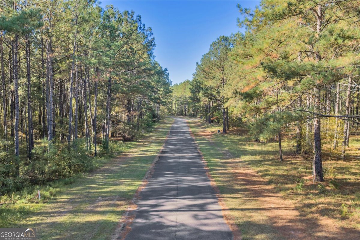 Lot 17 Sweet Magnolia Circle Dublin, GA 31021 - Photo 14 of 23 a view of yard