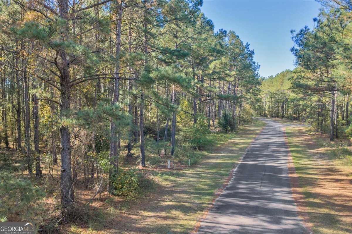 Lot 17 Sweet Magnolia Circle Dublin, GA 31021 - Photo 4 of 23 a view of a yard with trees