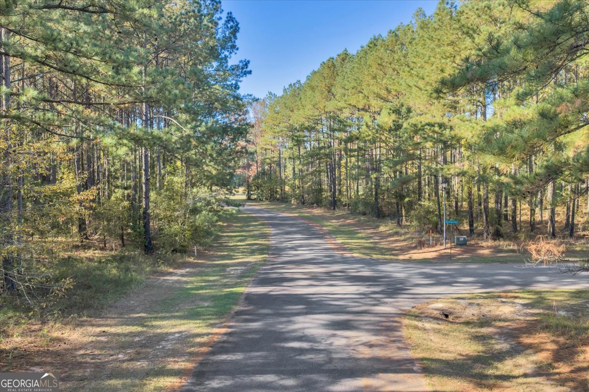 Lot 17 Sweet Magnolia Circle Dublin, GA 31021 - Photo 5 of 23 a view of a yard with a tree