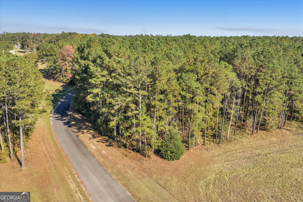 Lot 17 Sweet Magnolia Circle Dublin, GA 31021 - Photo 10 of 23 a view of outdoor space and mountain view