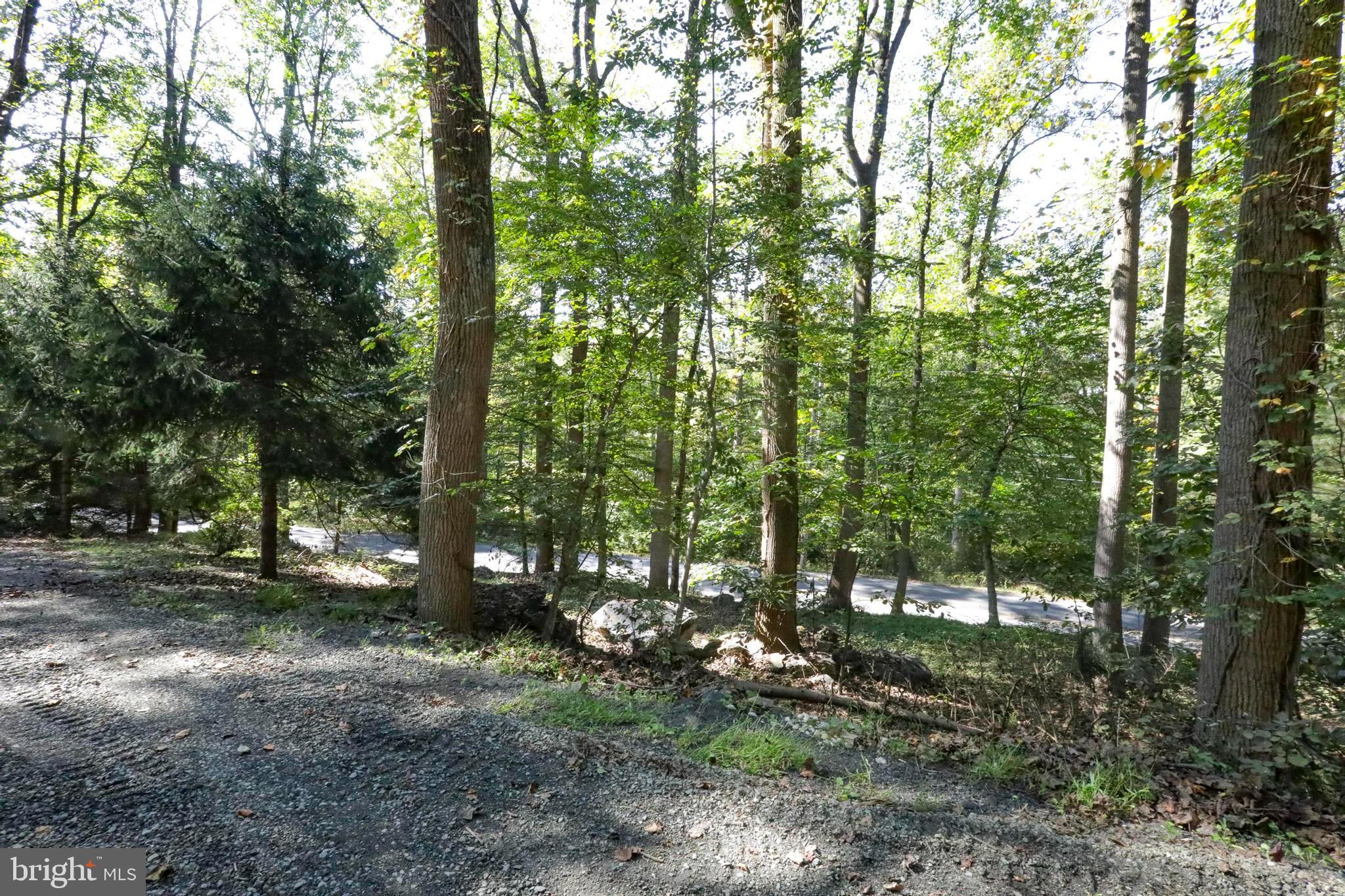 454 Landis Store Road Boyertown, PA 19512 - Photo 24 of 48 Gallery Image 24