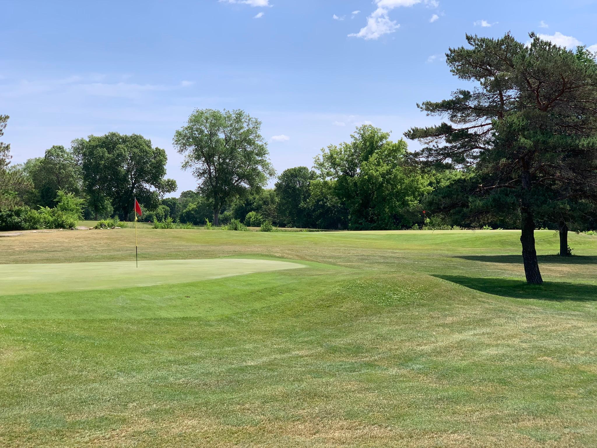 13689 Ringneck Way Rogers, MN 55374 - Photo 17 of 22