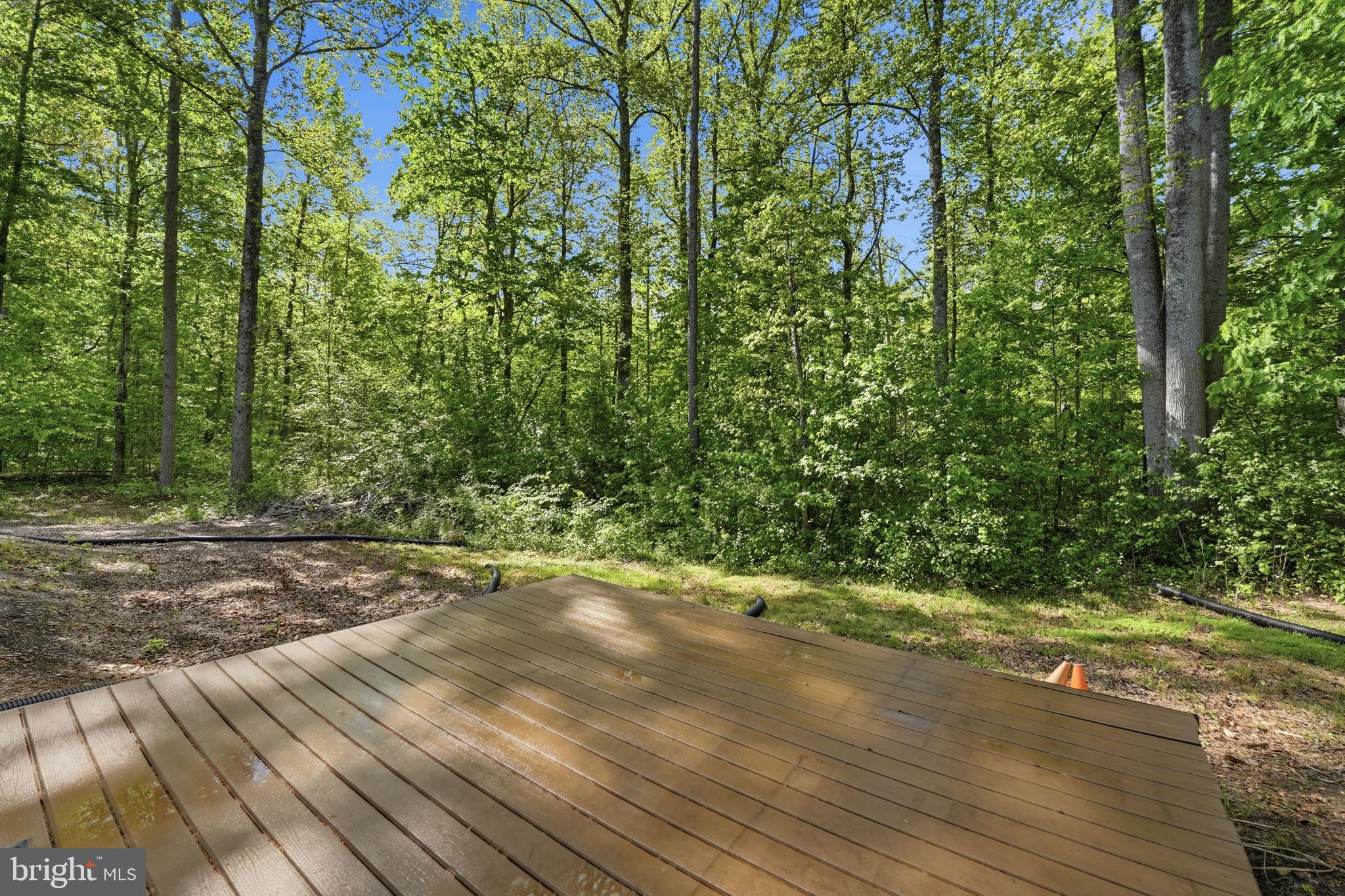 241 Cropp Road Fredericksburg, VA 22406 - Photo 54 of 62