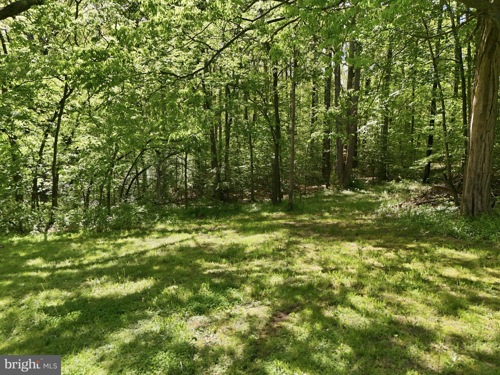 241 Cropp Road Fredericksburg, VA 22406 - Photo 57 of 62