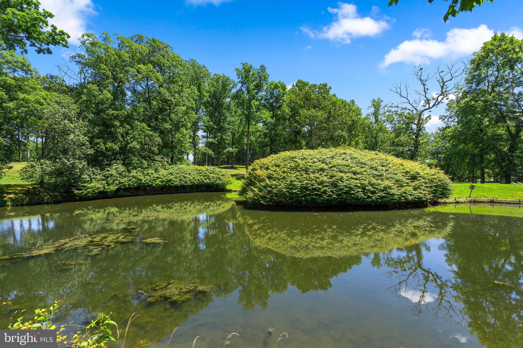 15107 Interlachen Drive, Unit 818 Silver Spring, MD 20906 - Photo 36 of 51 Pond
