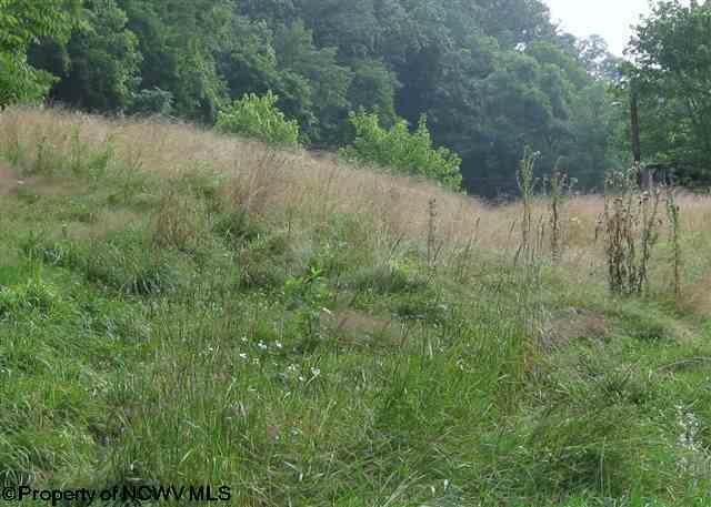 5143 West Old Mill Road Jane Lew, WV 26378 - Photo 2 of 3 Gallery Image 2