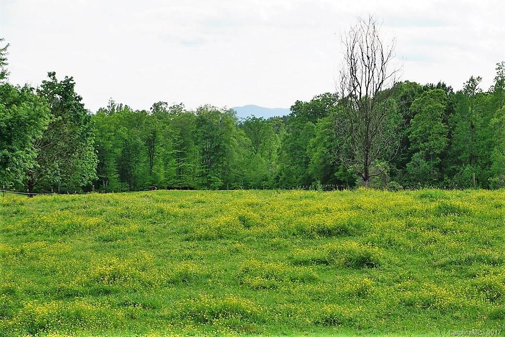 1395 Cove Road Rutherfordton, NC 28139 - Photo 3 of 24
