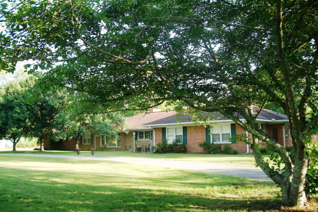 Primary Photo