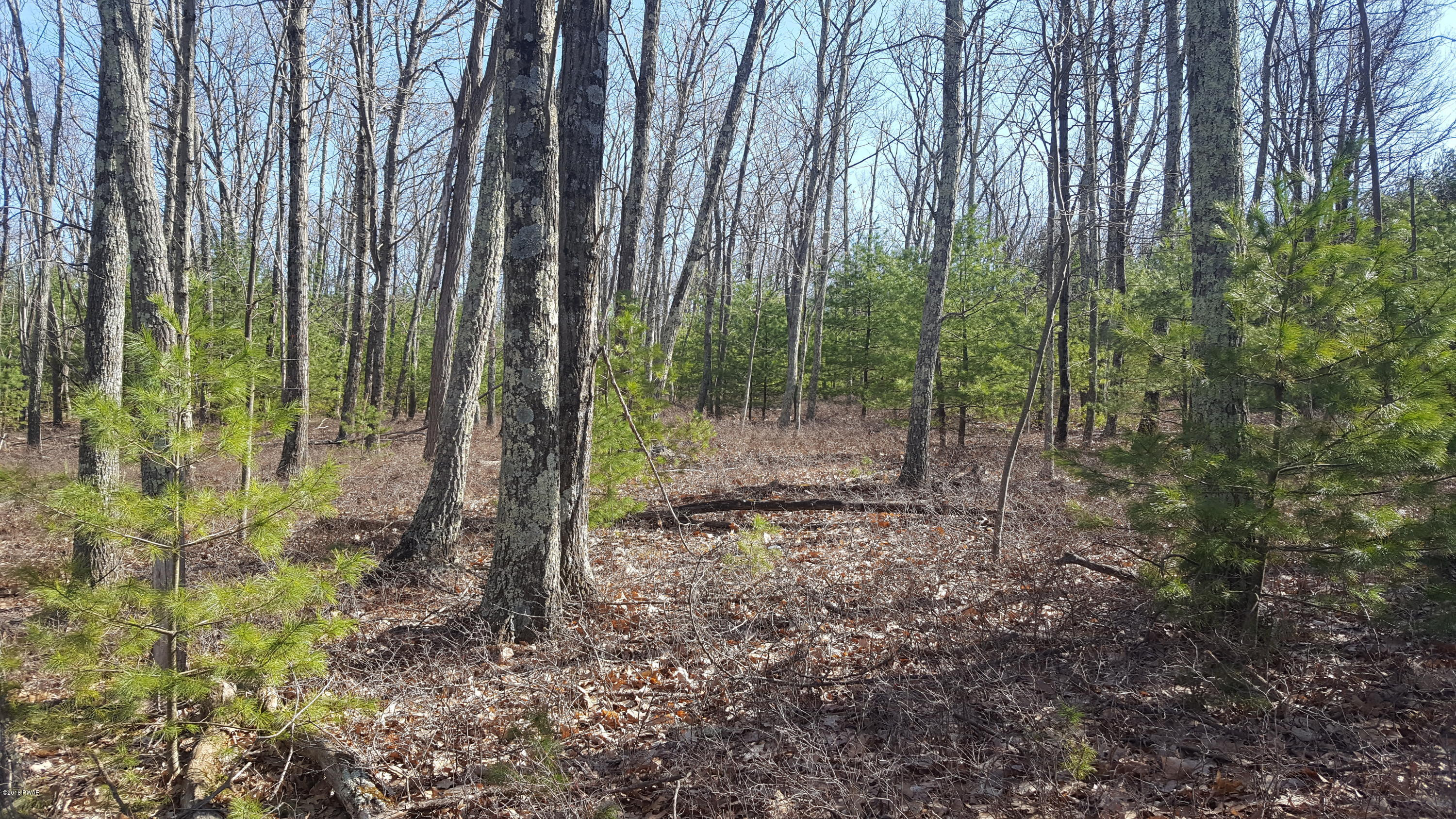 Myck Road Dingmans Ferry, PA 18328 - Photo 2 of 2