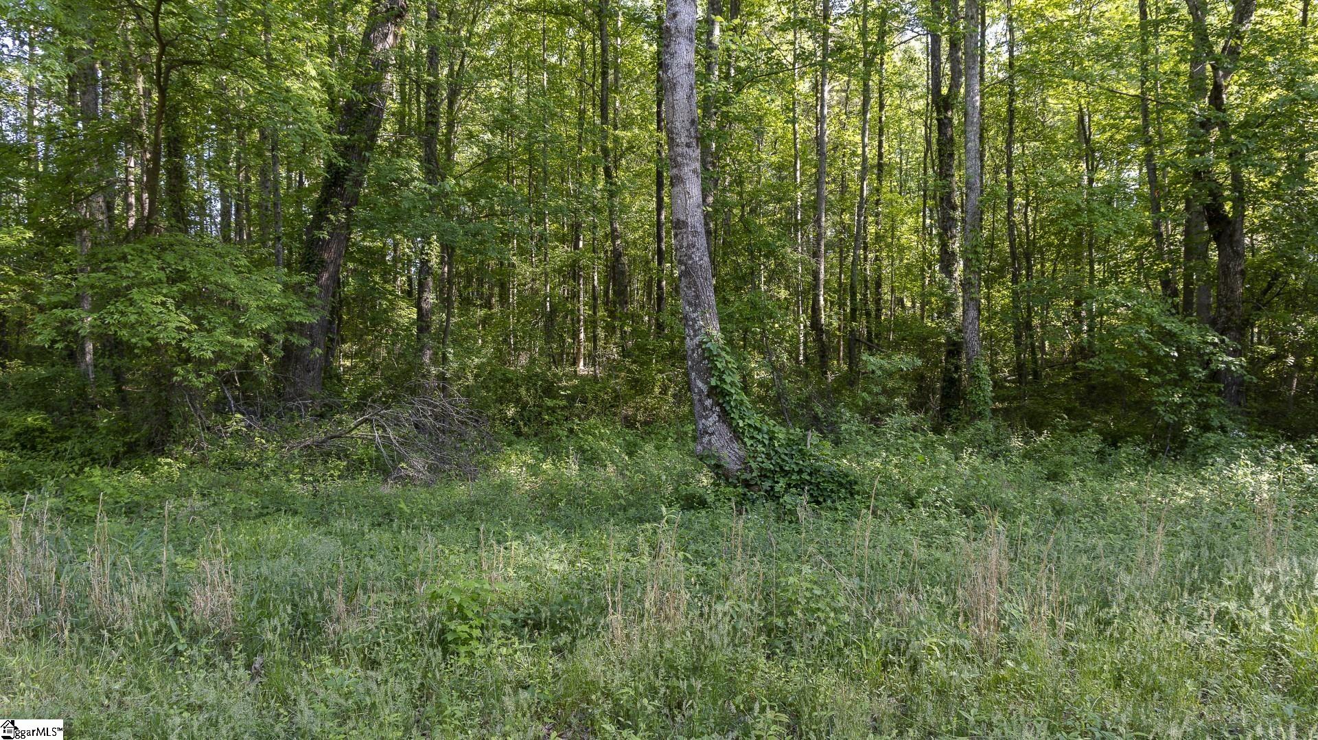 0 Botany Slopes Road Piedmont, SC 29673 - Photo 5 of 44