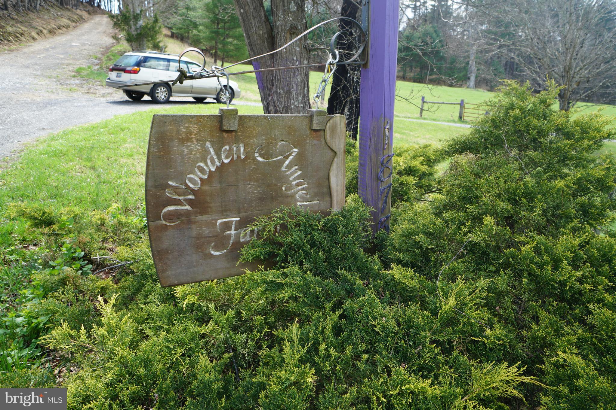 1873 Capito Hill Road Franklin, WV 26807 - Photo 2 of 72 a view of a garden with sitting area