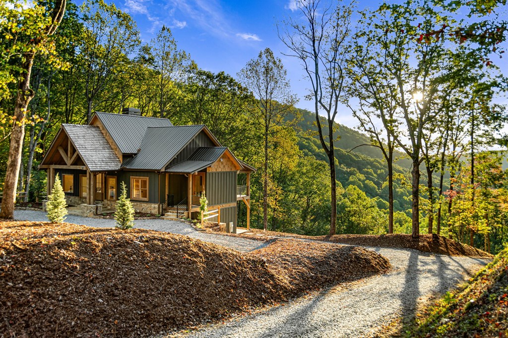 6342 Burnt Mountain Road Ellijay, GA 30536 - Photo 11 of 76 Gallery Image 11