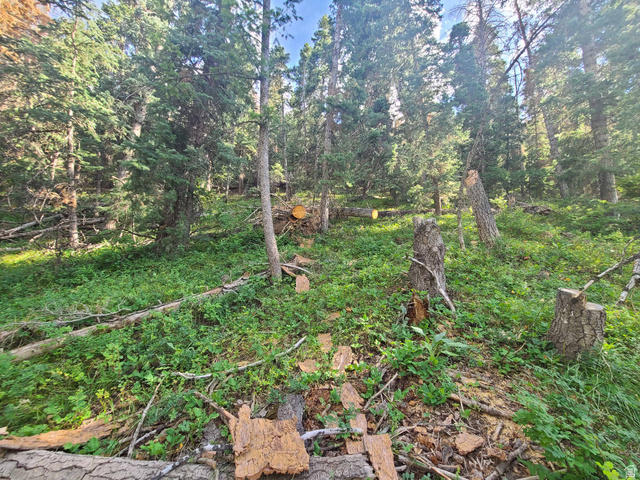 30 East Pine Creek Road South, Unit 30 Mount Pleasant, UT 84647 - Photo 8 of 14 View of tree filled area