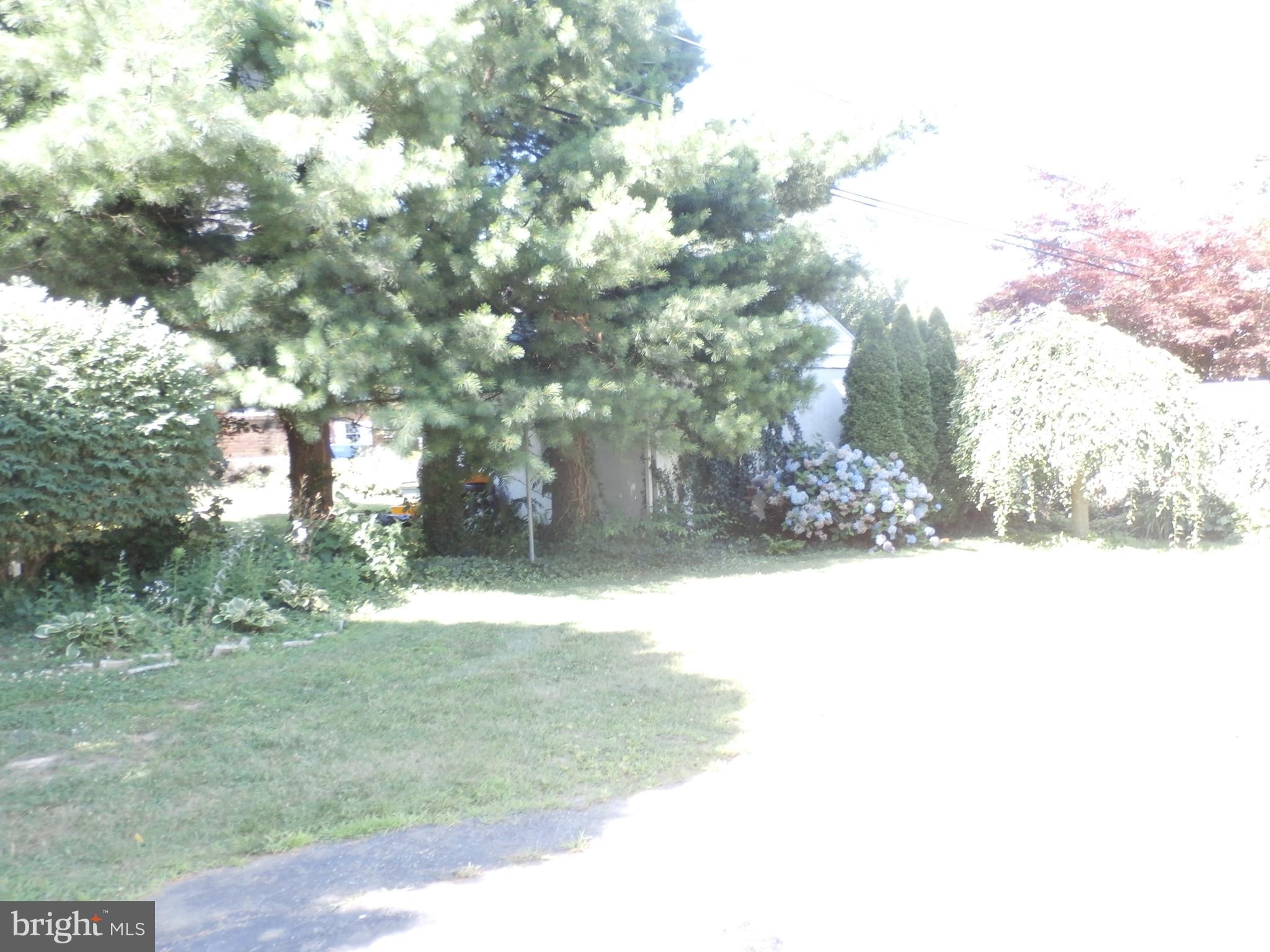 288 Avon Road Springfield, PA 19064 - Photo 4 of 28 Back yard