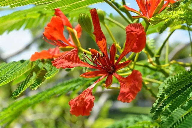 $1,250,000 | 1105 92nd Street Northwest, Bradenton, FL 34209