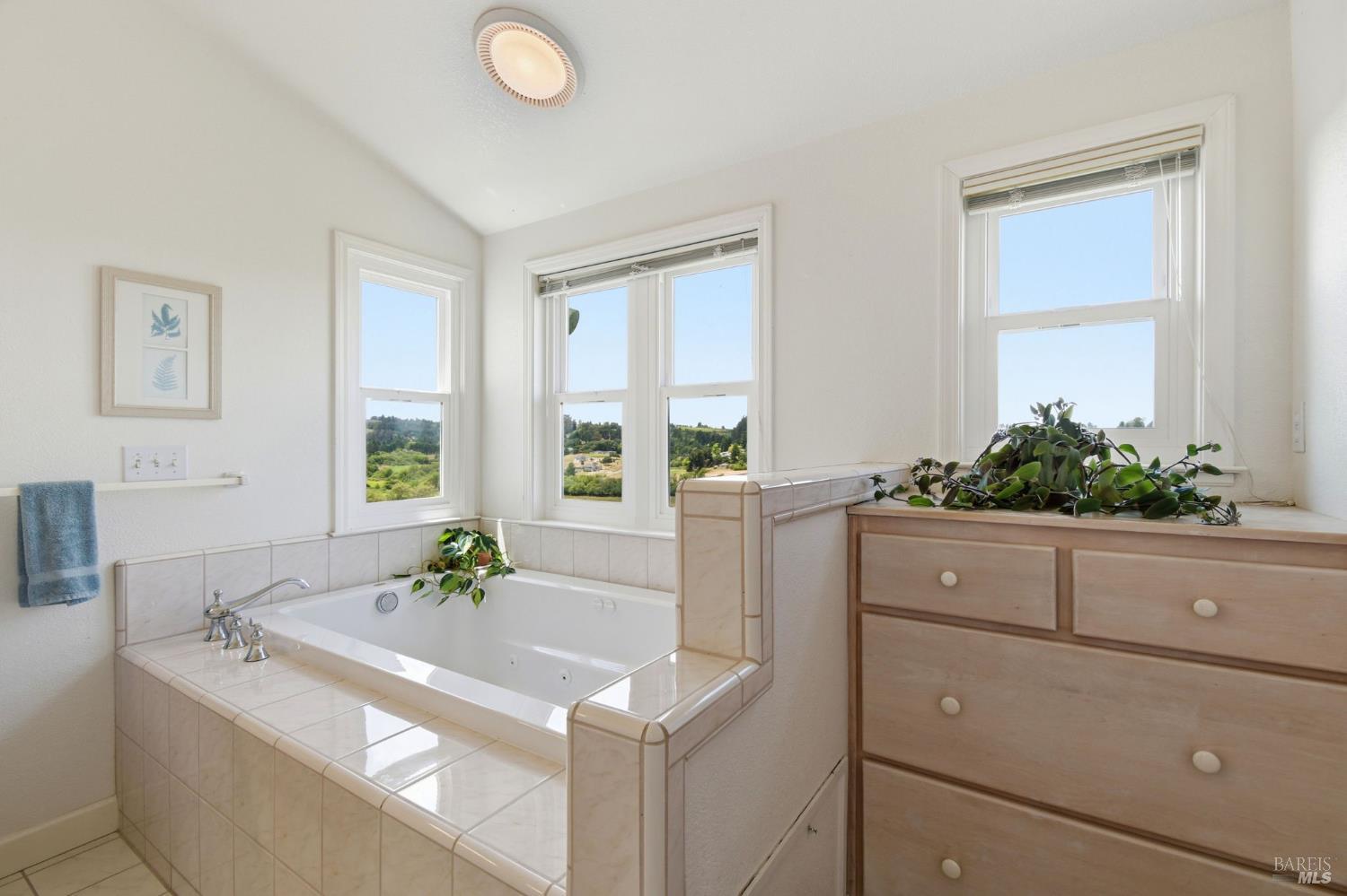 3223 Canfield Road Sebastopol, CA 95472 - Photo 22 of 58 Jetted Tub and Neighboring Views in Primary Bathroom
