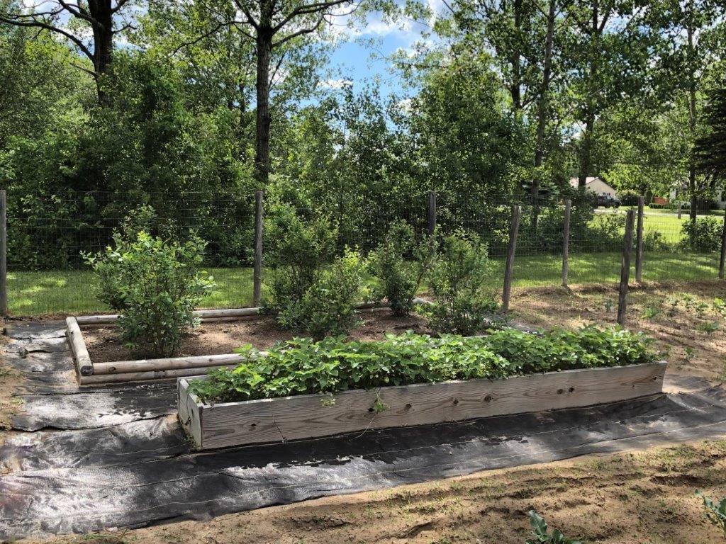 555 Plains Road Hollis Center, ME 04042 - Photo 5 of 26 Gardens