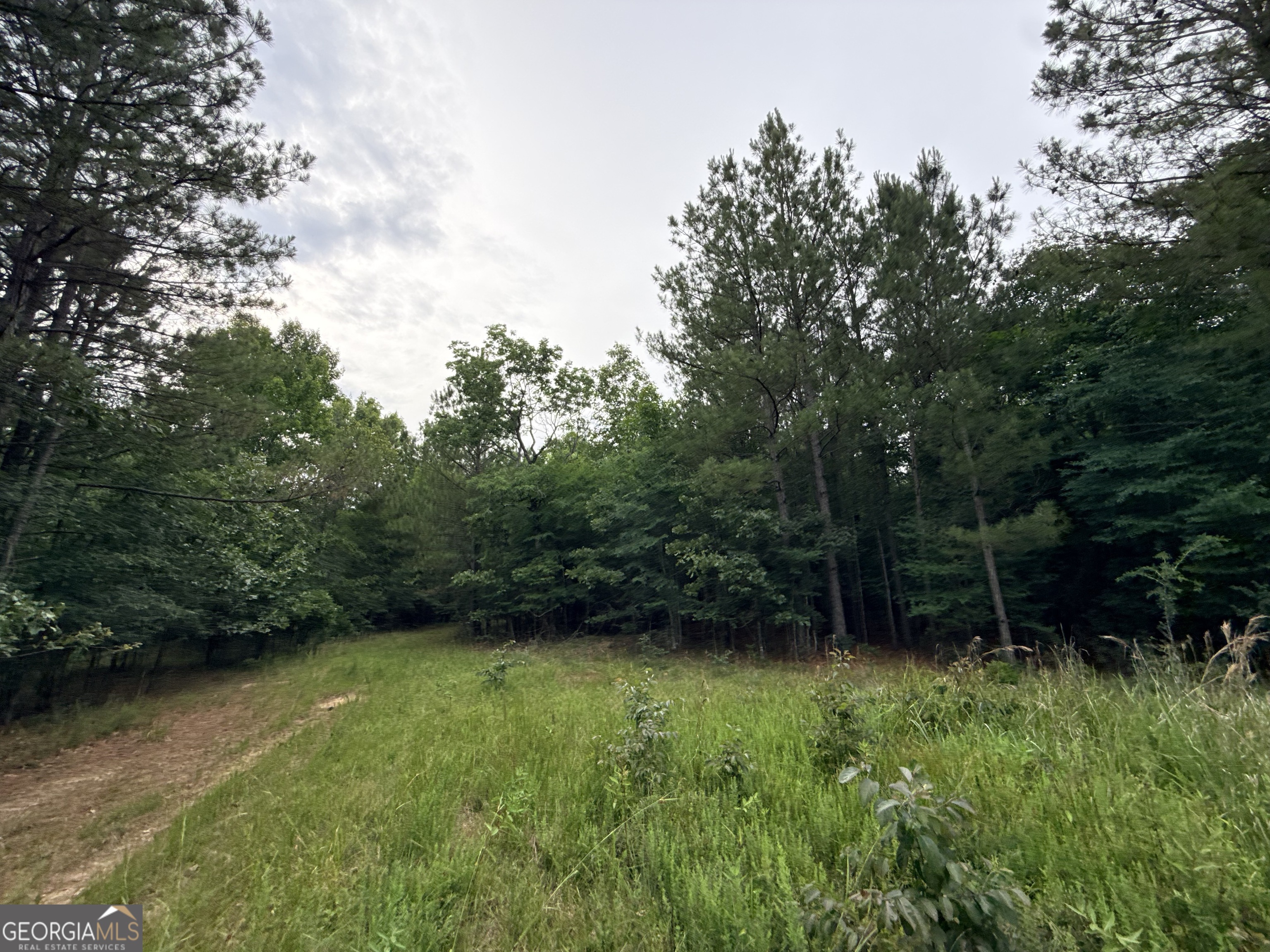2 Bethesda Church Road Lexington, GA 30648 - Photo 10 of 66
