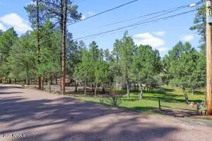 $495,000 | 6478 Marcy Way, Pine, AZ 85544