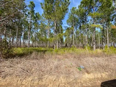 $229,900 | 0 Huskey Road, Dothan, AL 36303