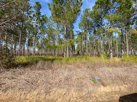 0 Huskey Road Dothan, AL 36303 - Photo 1 of 3