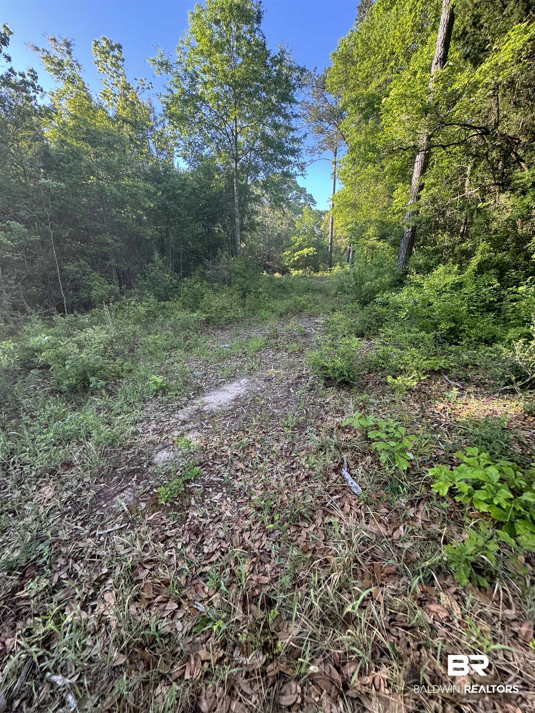 0 Charlie Head Road Stapleton, AL 36578 - Photo 2 of 7