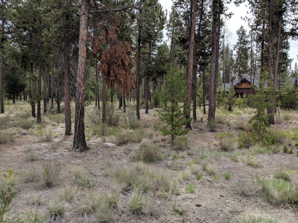 56474 Sunstone Loop Bend, OR 97707 - Photo 6 of 8 Additional Photo