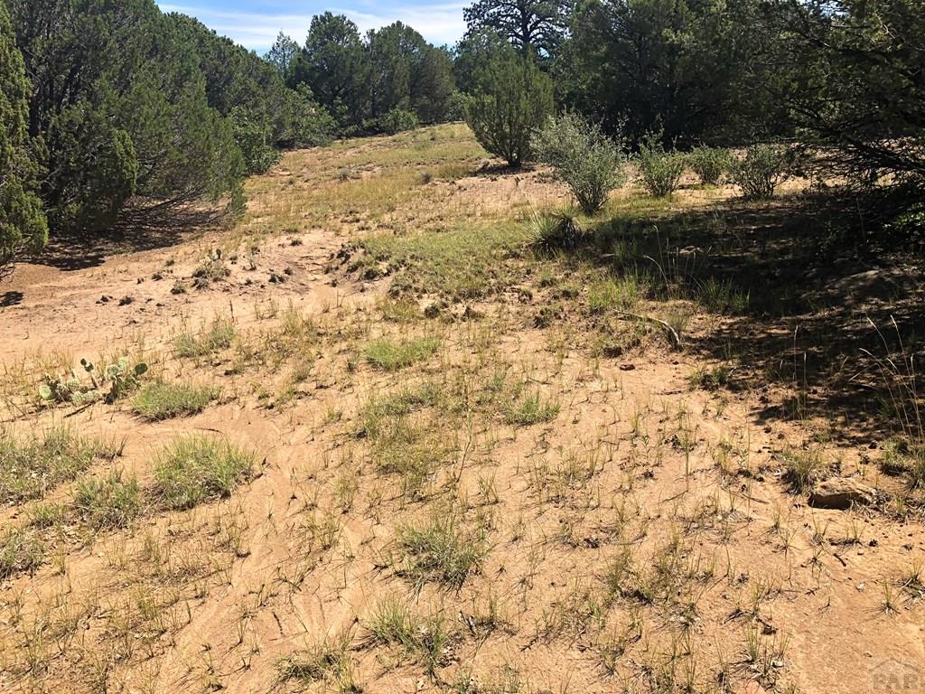 Lot 30 Silver Spur Road Walsenburg, CO 81089 - Photo 11 of 36 Gallery Image 11