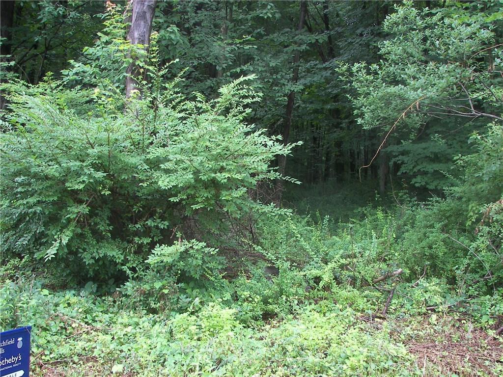 Lot 2 Ranney Hill Road Roxbury, CT 06783 - Photo 1 of 1 an aerial view of residential house with outdoor space and trees all around