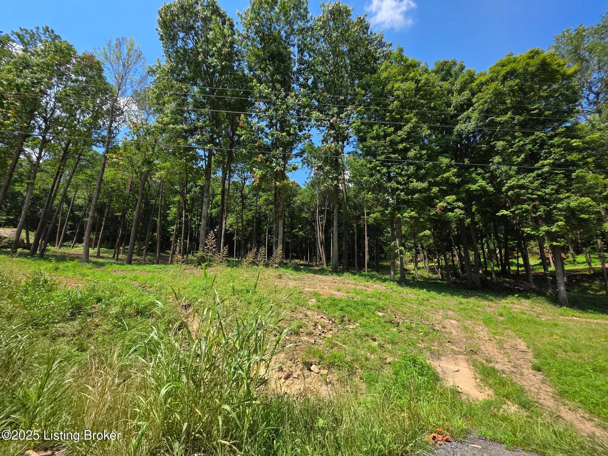 4 Cave Creek Road Falls Of Rough, KY 40119 - Photo 7 of 12 Lot 4-4