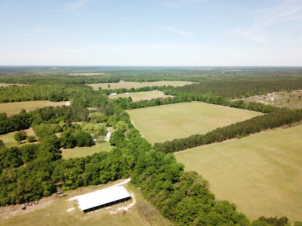 Tbd Tbd Dixie Road South Wagener, SC 29164 - Photo 2 of 25