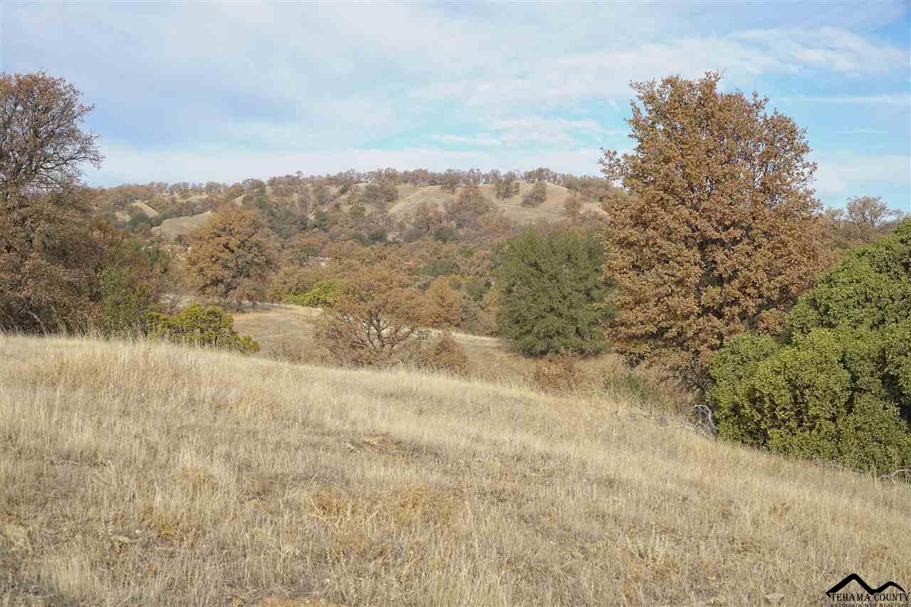 1 Riverview Ranch Road Red Bluff, CA 96080 - Photo 39 of 55 Gallery Image 39