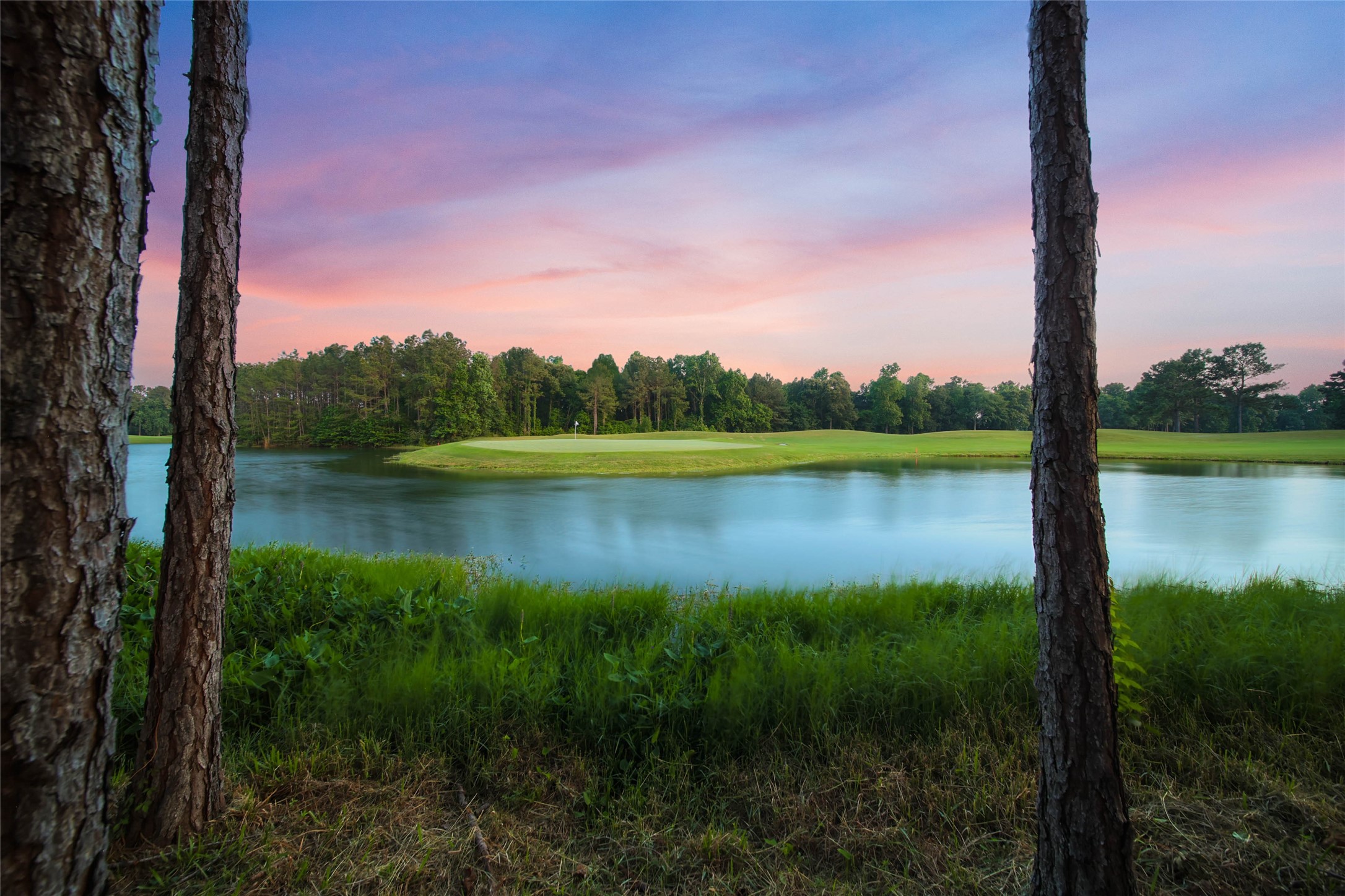 852 Eagle Pointe Montgomery, TX 77316 - Photo 42 of 48 a view of lake with green space