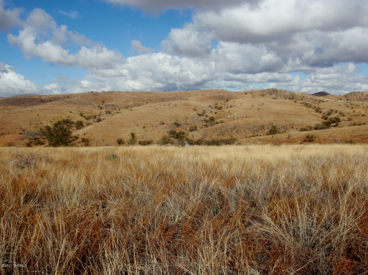 91 Lake Patagonia Road Nogales, AZ 85621 - Photo 9 of 11