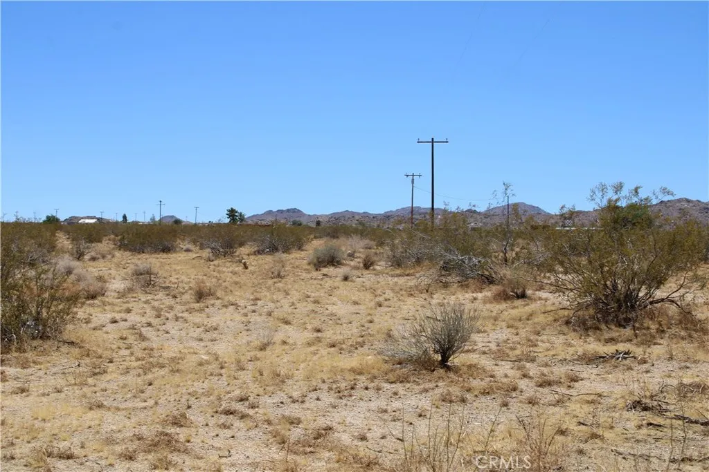 5 Joshua Tree Road Johnson Valley, CA 92285 - Photo 1 of 21 Gallery Image 1